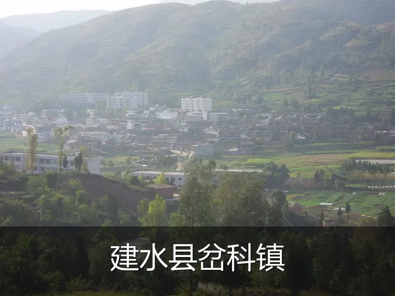 建水县岔科镇