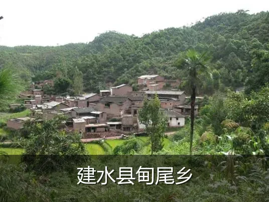 建水县甸尾乡